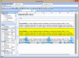 TRichView in ReportBuilder